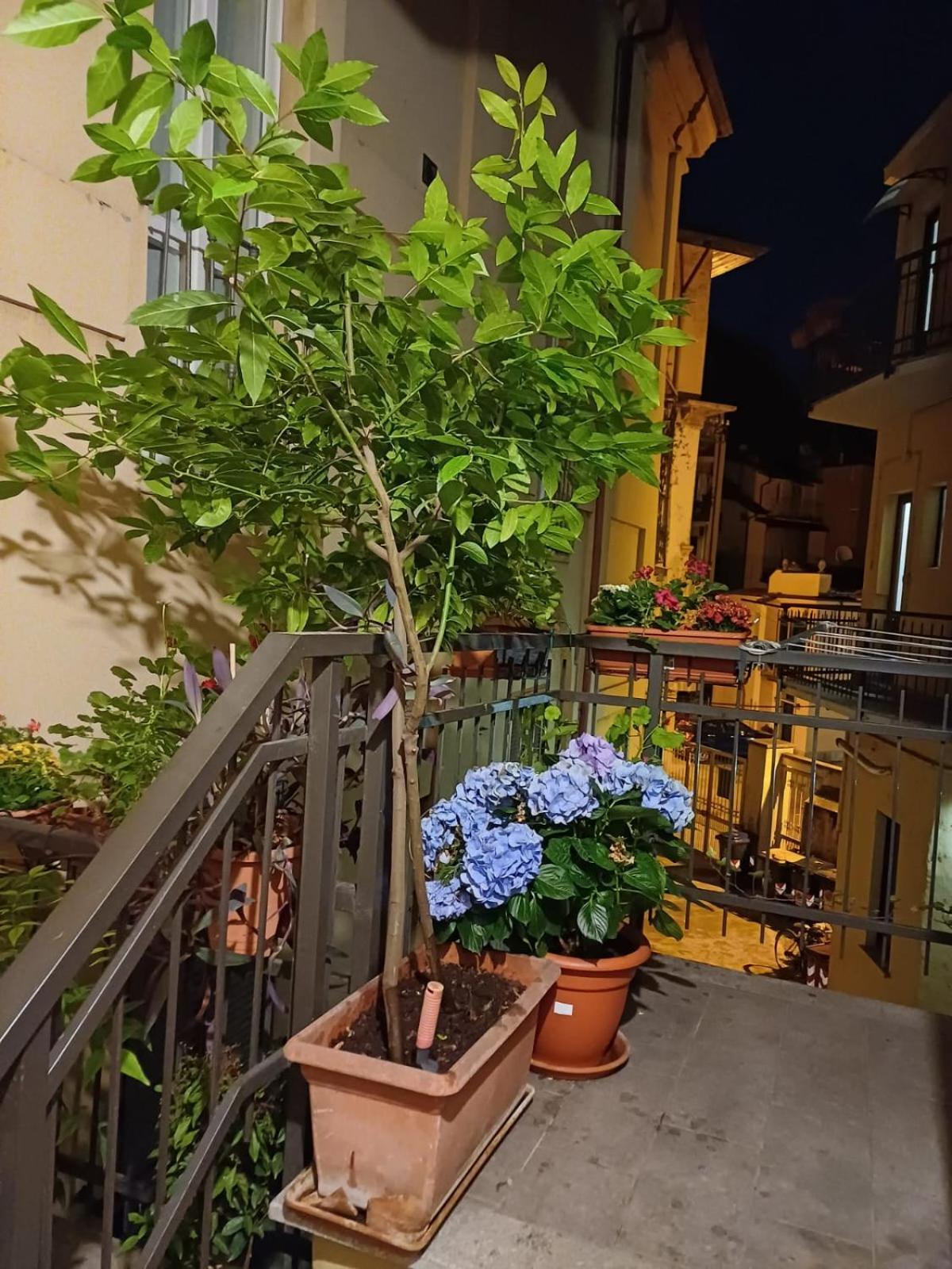 La Terrazzina, Silenzioso, Zona Piazza Gran Madre Turin